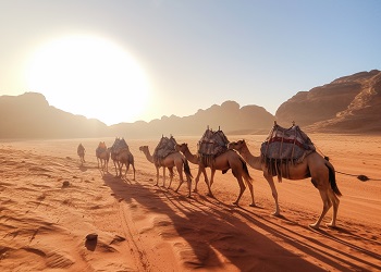 Camel Tour