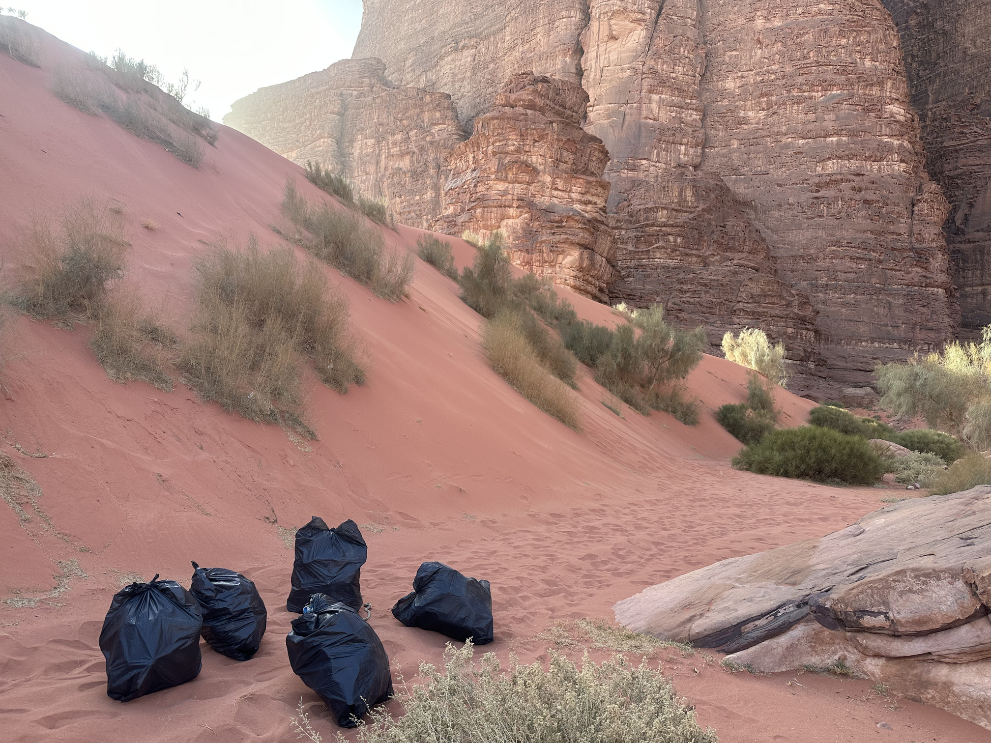 Desert Clean-Up Chronicles: Day 10